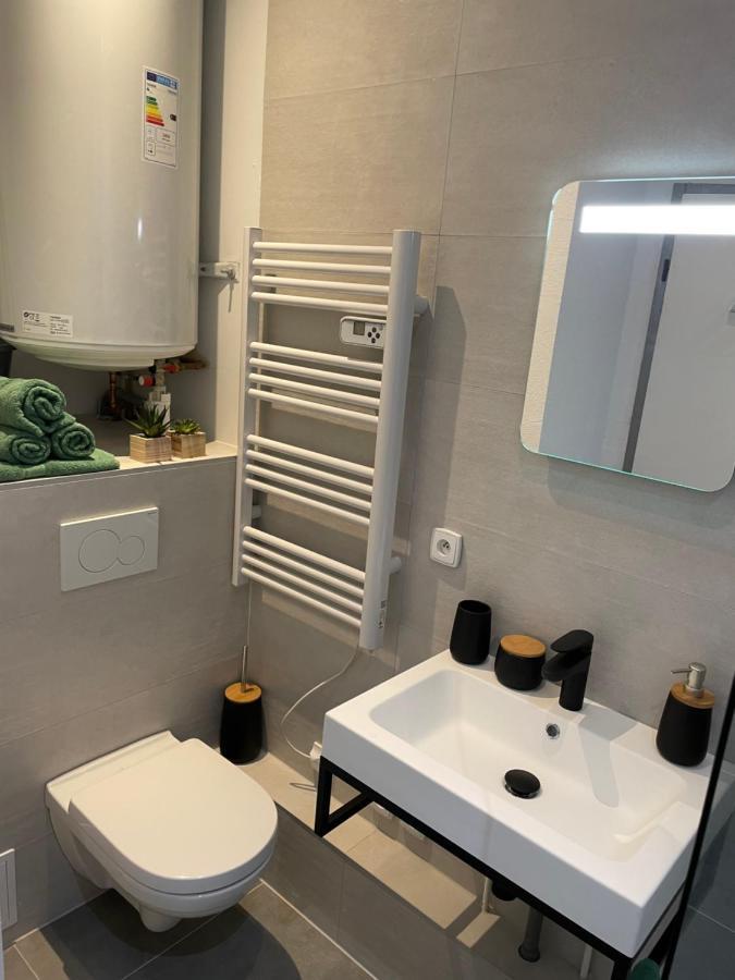 Chaleureux F2 Dans L'Hypercentre Colmarien Apartment Екстериор снимка